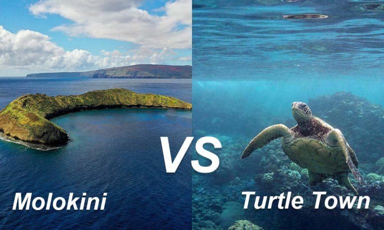 Molokini vs Turtle Town vs Honolua Bay: Which Maui Snorkel Spot Is Actually Worth It?
