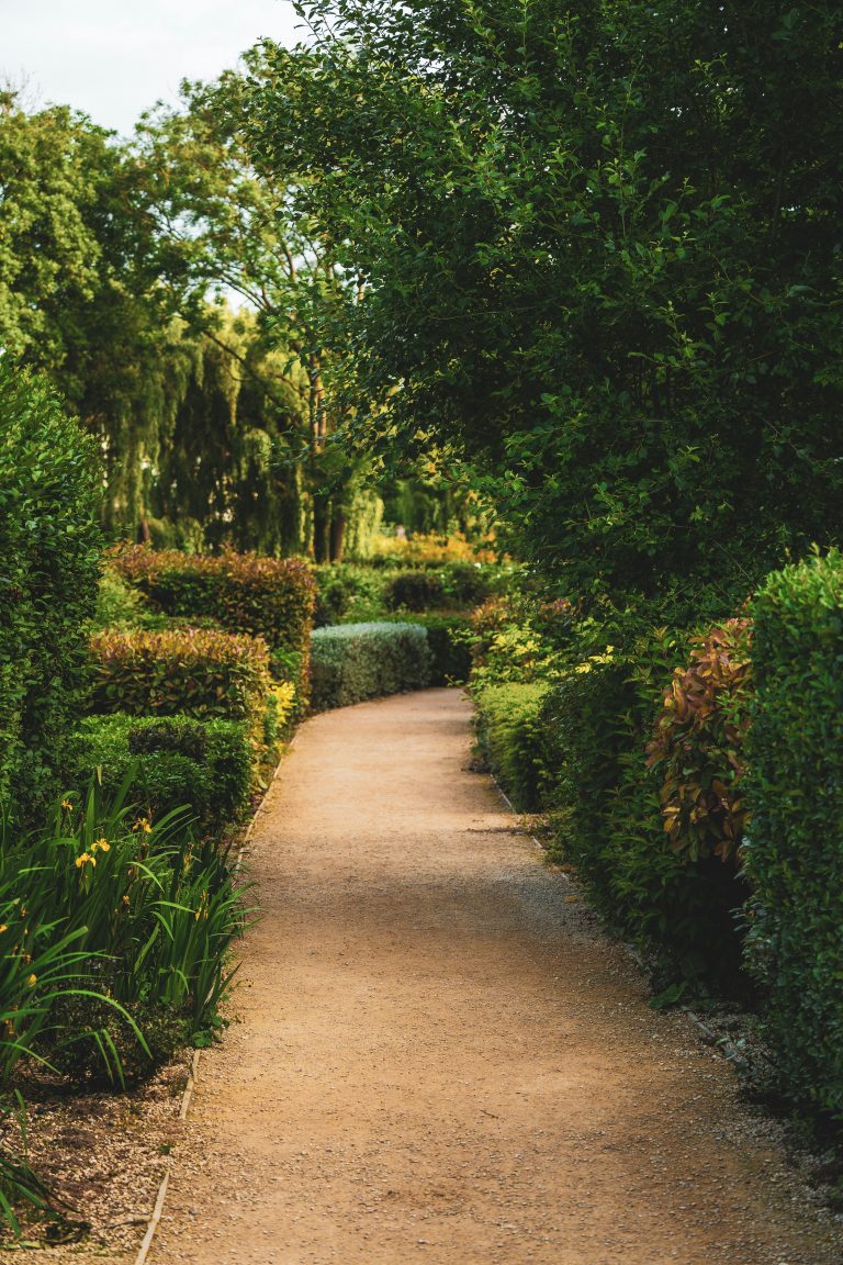 6 Things to Look for When Hiring a Landscape Designer