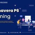 primavera p6 training