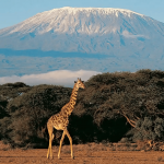 tanzania travel guide