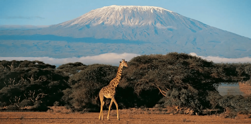 tanzania travel guide