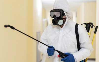 pest control companies in las vegas