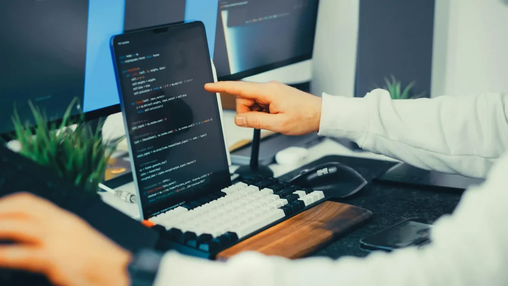custom web development