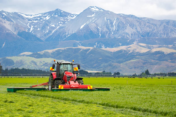 Understanding the Operational Value of a Flail Mower Slasher in New Zealand Land Management Introduction to Vegetation Management in New Zealand