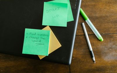 invest in startup businesses