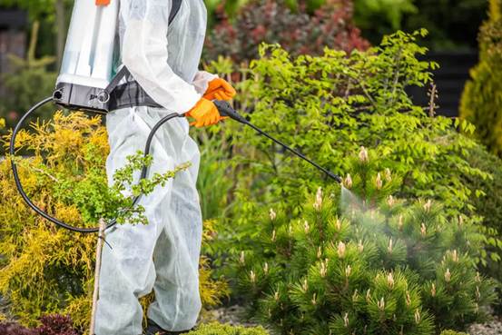 pest control