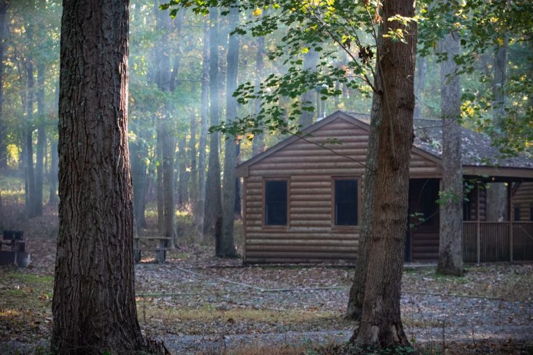 4 Ways to Find Affordable Cabin Rentals You Can Trust