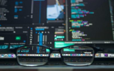 software audits