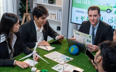 sustainability management skills
