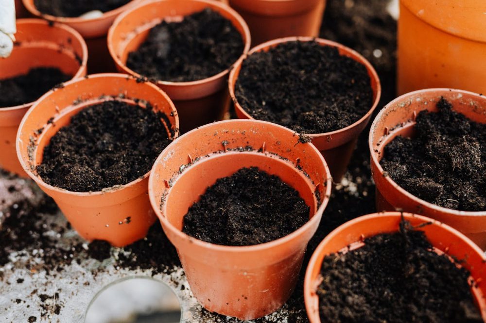 soil preparation for plants