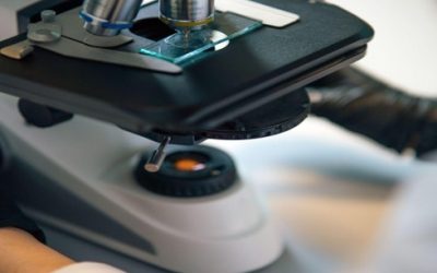 binocular microscope