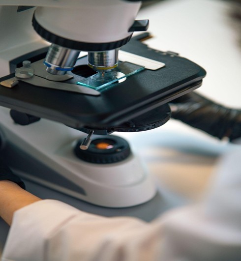 binocular microscope