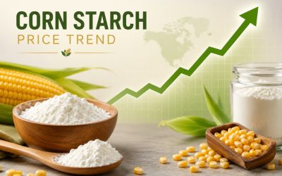 corn starch price trend