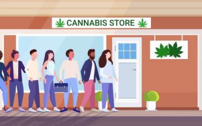 cannabis shop