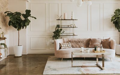 centuryply for custom furniture design
