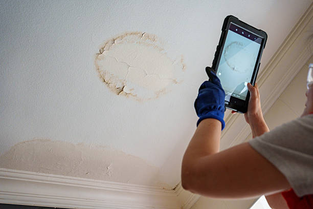Warning Signs Your Home May Have Hidden Structural Damage in LA