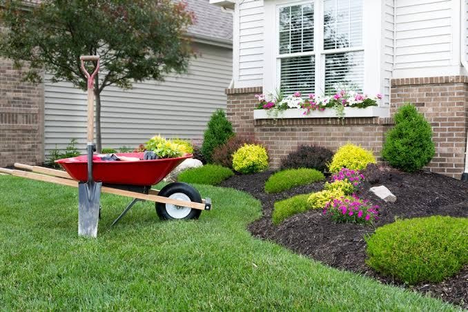 small outdoor landscaping ideas