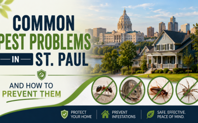 pest problems in st