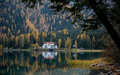 nature-focused escapes